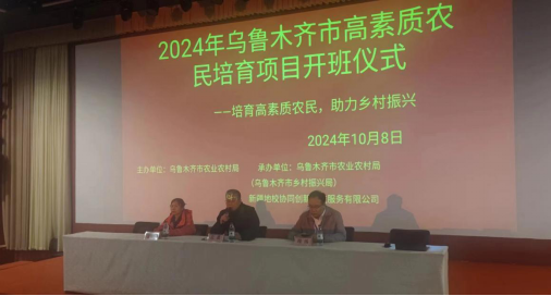 哪里有针对业余爱好者的篮球训练策略_0