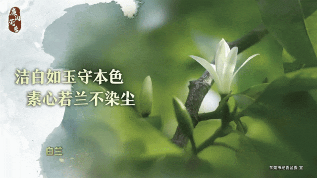 哪里有针对业余爱好者的篮球训练策略_1
